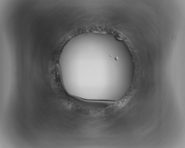 X0000112900192200908211058