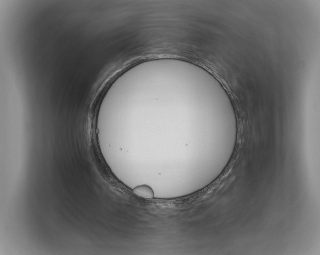 X0000112900194200908211057