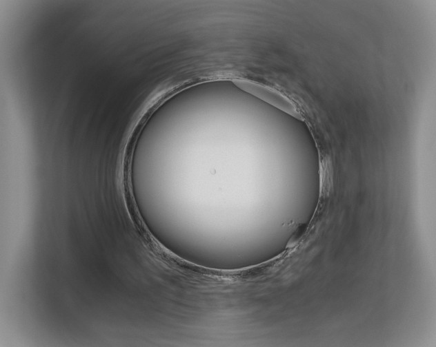 X0000112900195200908211057