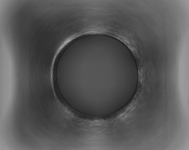 X0000112900196200908211057