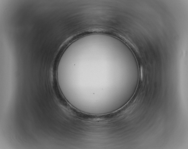 X0000112900204200908211057