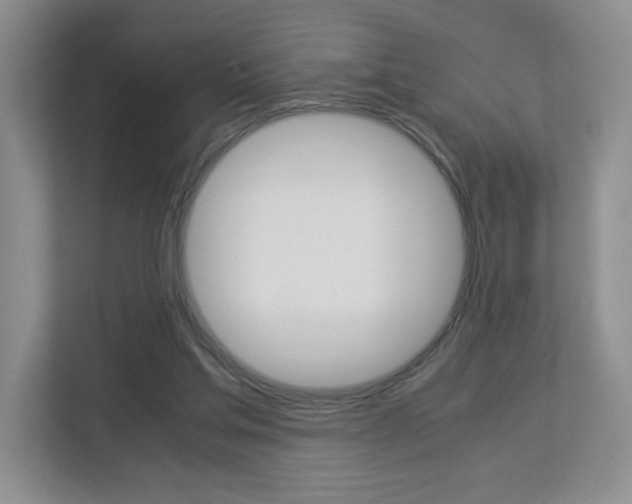 X0000112900205200908211057