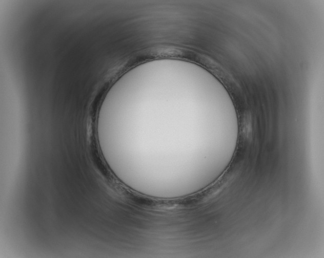 X0000112900206200908211057