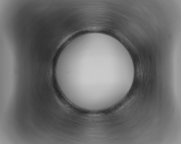 X0000112900208200908211057