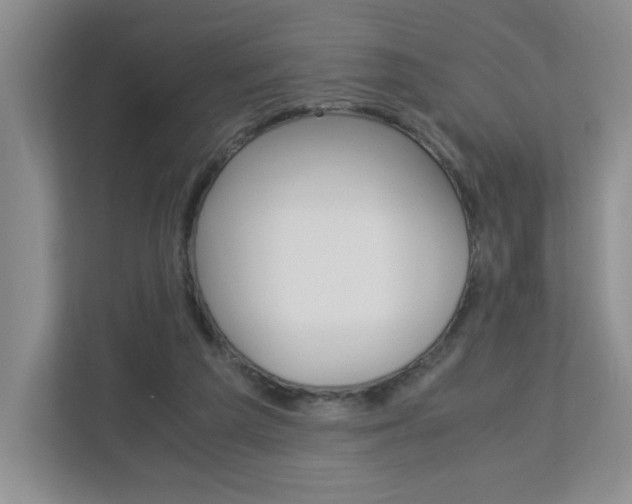 X0000112900209200908211057