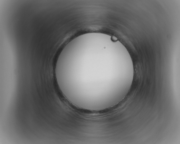 X0000112900212200908211057