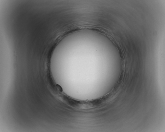 X0000112900215200908211057