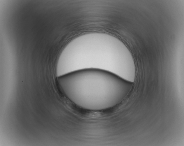 X0000112900227200908211056