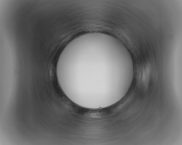 X0000112900228200908211056