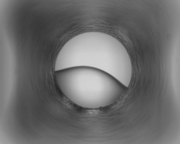 X0000112900233200908211056