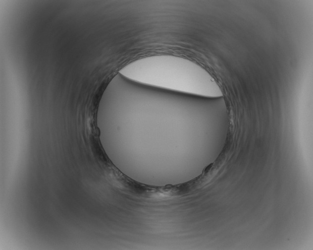 X0000112900235200908211056
