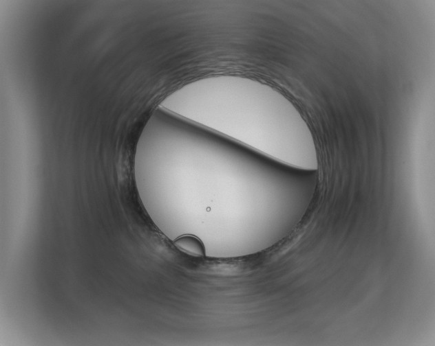 X0000112900236200908211056