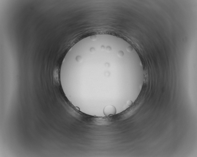 X0000112900238200908211056