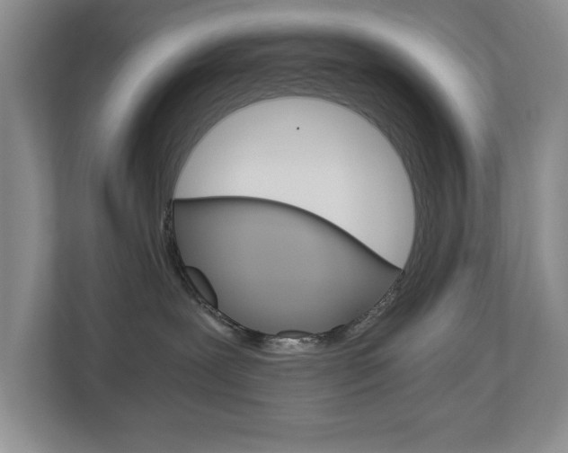 X0000112900239200908211056
