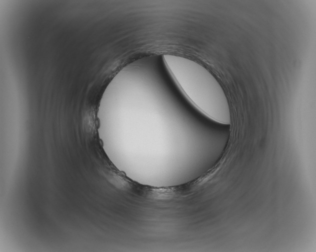 X0000112900240200908211056
