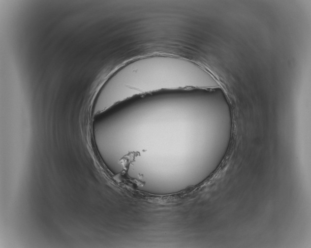X0000112900241200908211056