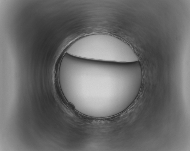 X0000112900242200908211056