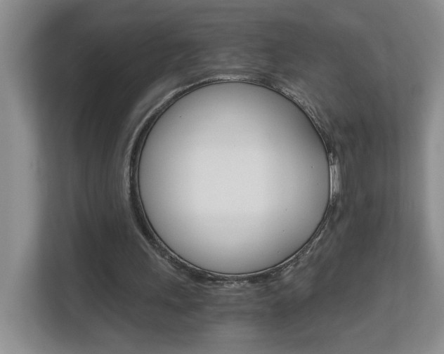 X0000112900243200908211056