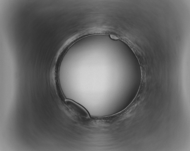 X0000112900244200908211056
