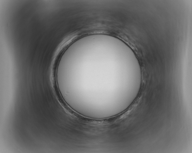 X0000112900245200908211056