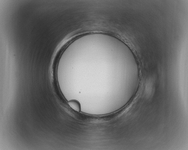 X0000112900246200908211056