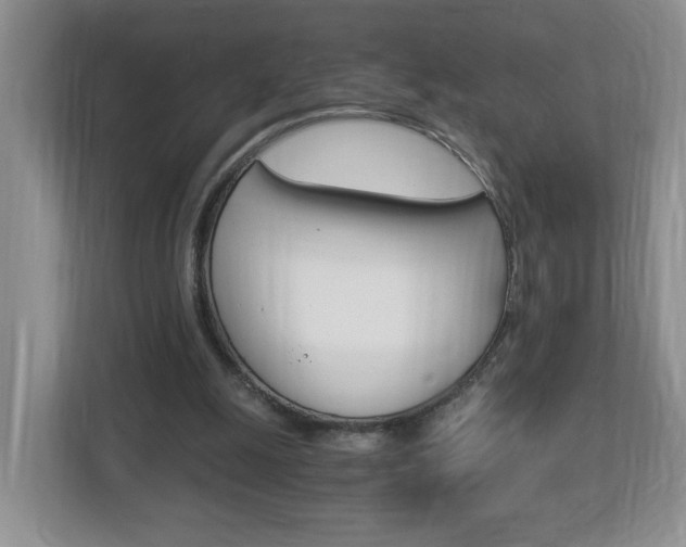 X0000112900247200908211056