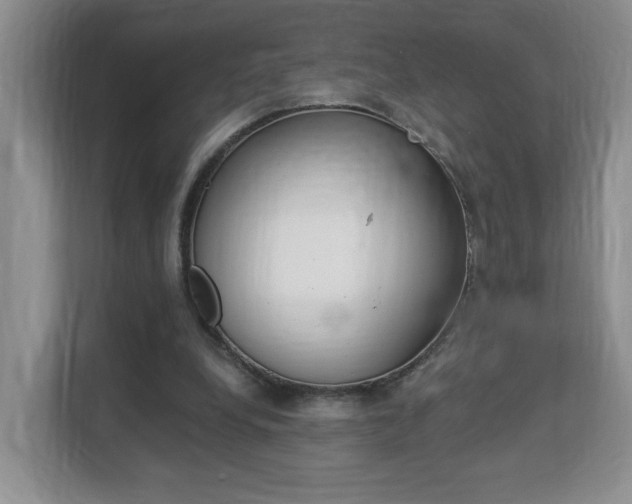 X0000112900248200908211056