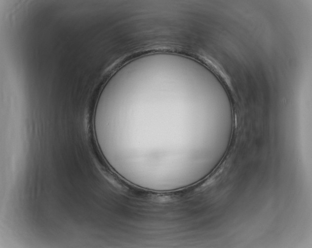 X0000112900249200908211056