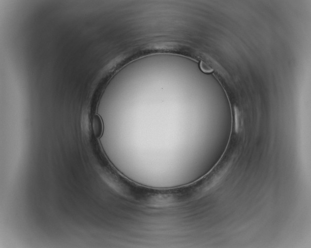 X0000112900252200908211056