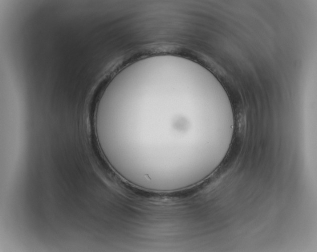 X0000112900254200908211056