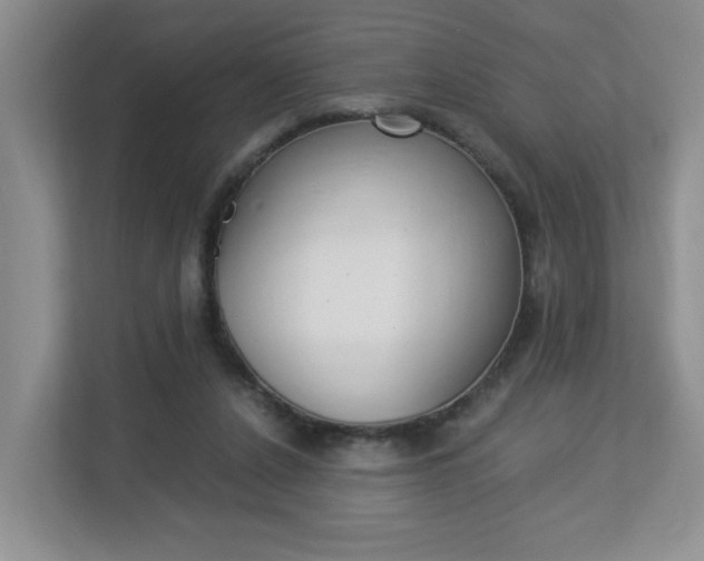 X0000112900256200908211056