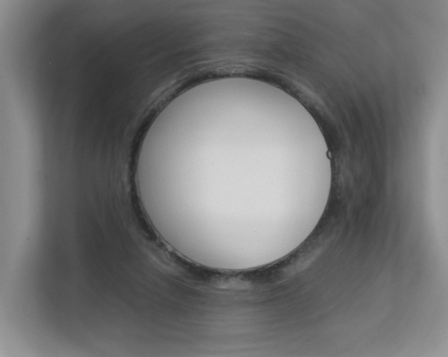 X0000112900258200908211056