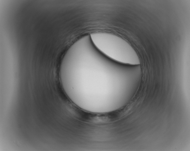 X0000112900270200908211056