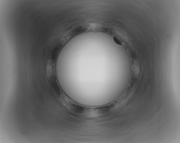X0000112900276200908211056