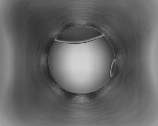 X0000112900280200908211056