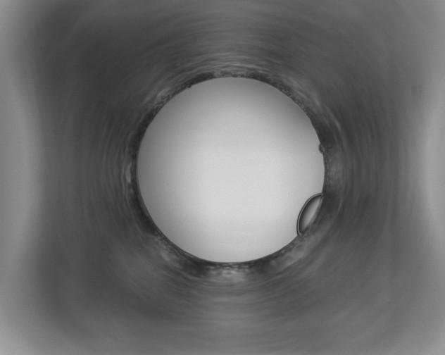 X0000112900282200908211056