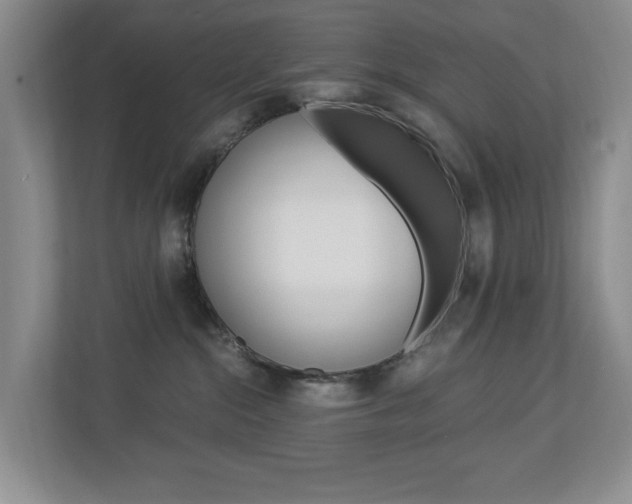 X0000112900284200908211056