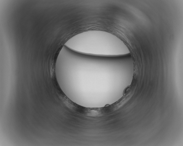 X0000112900285200908211056