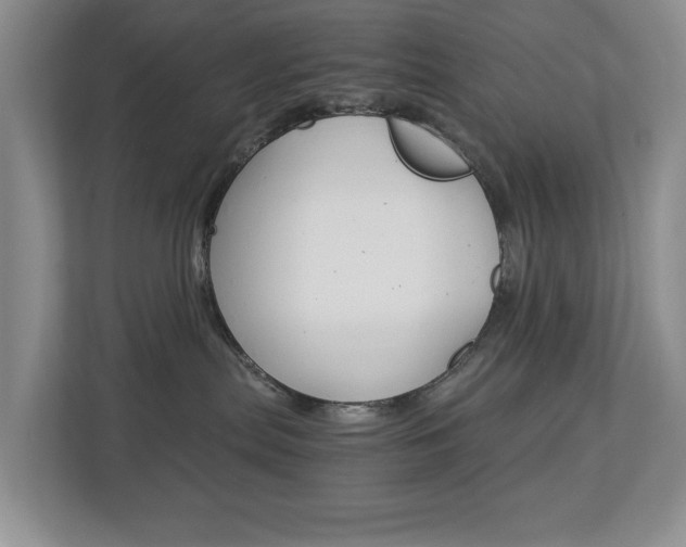X0000112900287200908211056