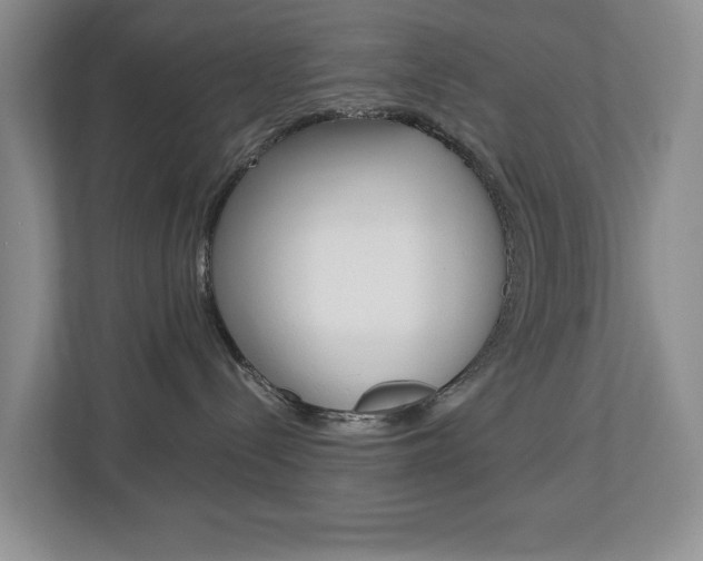X0000112900288200908211056