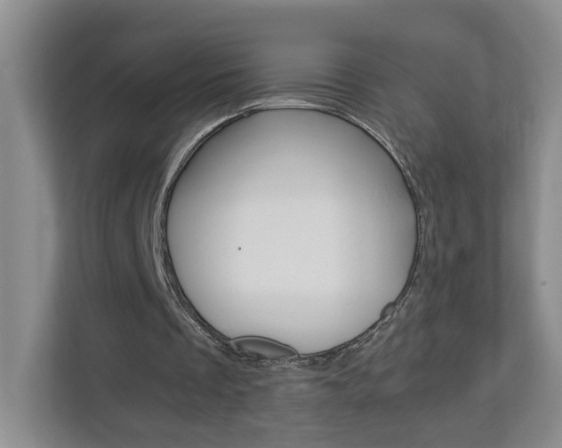 X0000112900289200908211056