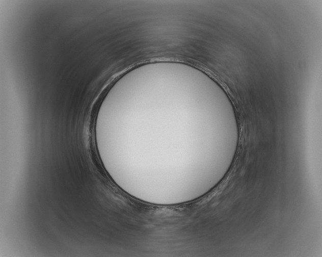 X0000112900290200908211056