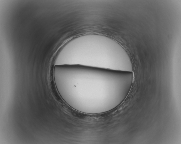 X0000112900291200908211056