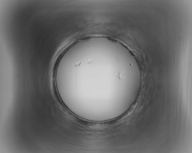X0000112900293200908211056