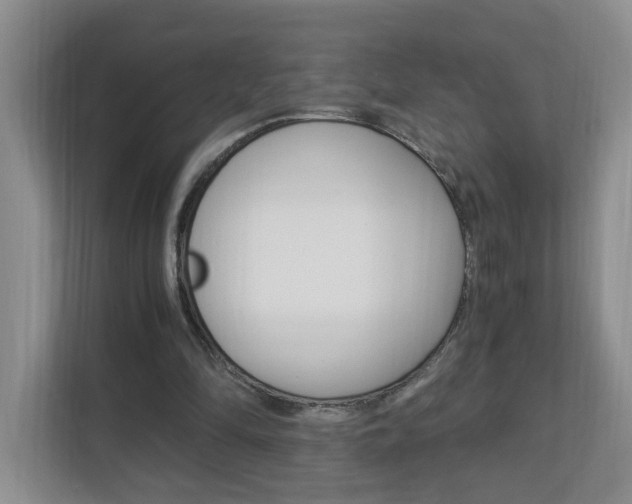 X0000112900294200908211056