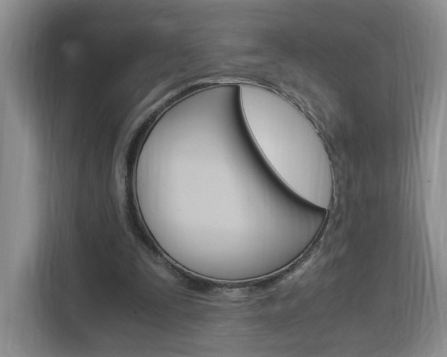 X0000112900295200908211056