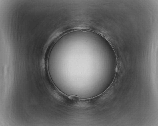 X0000112900296200908211056
