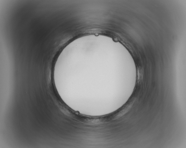 X0000112900301200908211056