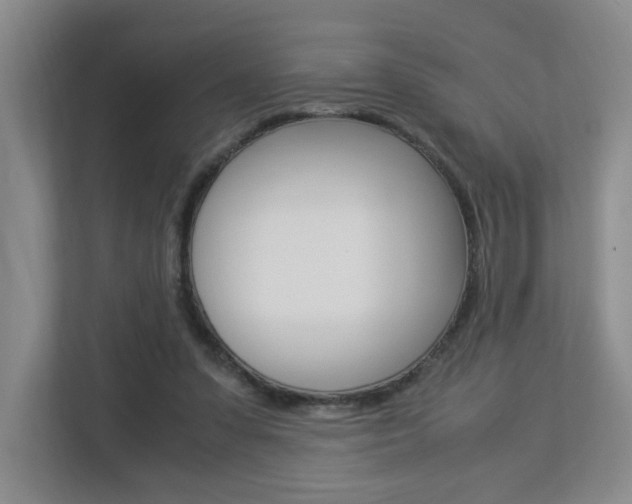 X0000112900303200908211055