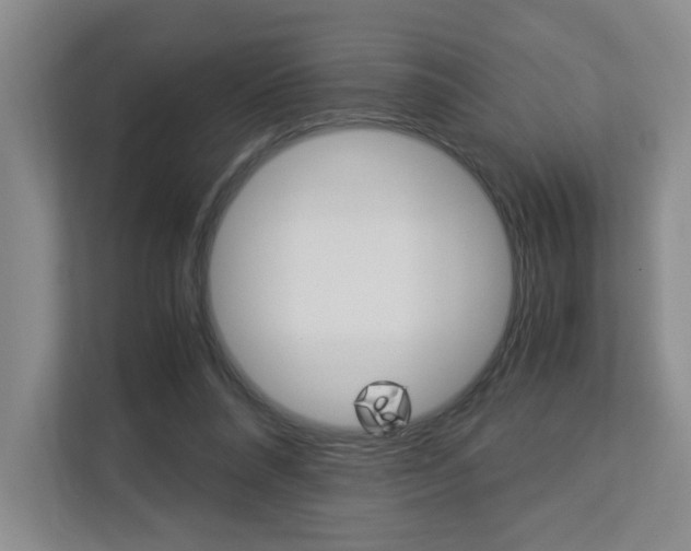 X0000112900304200908211055